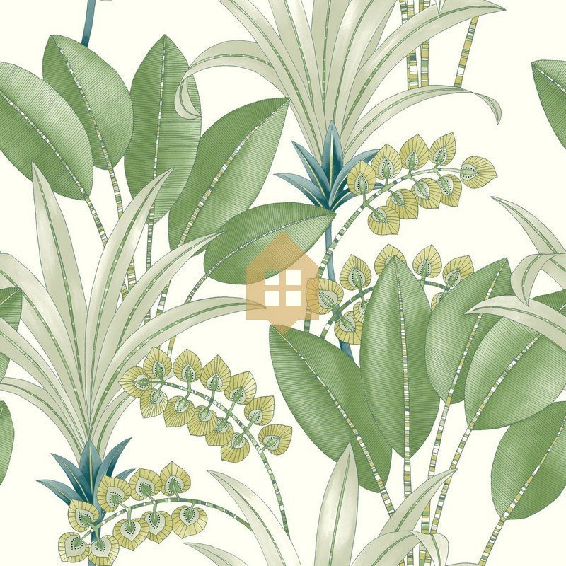 Papel Pintado Nicaragua 86417353