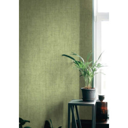 Papel Pintado Jupiter 1626480
