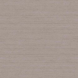 Papel Pintado Aura 42249