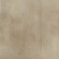 Papel Pintado Evolution Best Of 20737