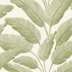 Papel Pintado Borneo 106547003