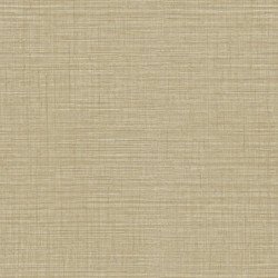 Papel Pintado Fibers 25876