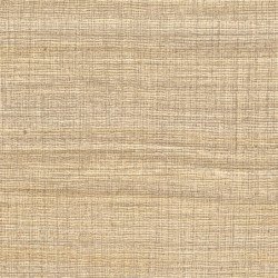 Papel Pintado Ceres VP100806