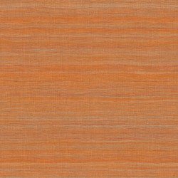Papel Pintado Ceres VP100836