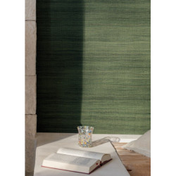 Papel Pintado Ceres VP100860