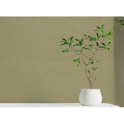 Papel Pintado Home 3 24981