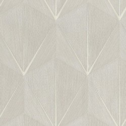 Papel Pintado Living 25330