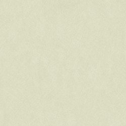 Papel Pintado Nest 201007171