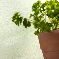 Papel Pintado Linen Edition 2 103227603