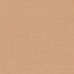 Papel Pintado Palmadora...