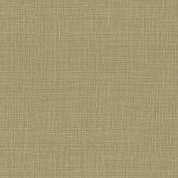 Papel Pintado Palmadora...