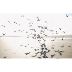 Mural Panorámico Seaside...