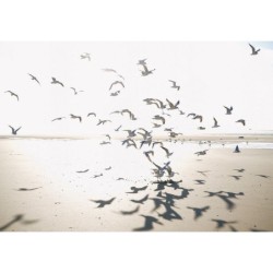 Mural Panorámico Seaside...