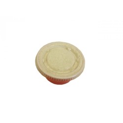 Cola metilcelulósica