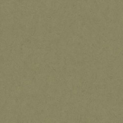 Papel pintado Arole con diseño de veta marcada y textura orgánica.