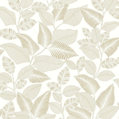 Papel pintado Paraty con diseño de lianas y selva ecuatorial.