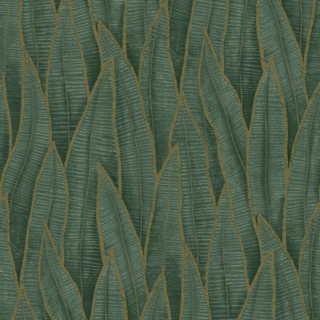 Papel pintado Sansevieria con diseño vertical de hojas exóticas.