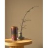 Papel Pintado Hansan 202522087