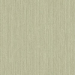 Papel pintado Sisal de Caselio colección Matieres con textura realista de fibras vegetales entrelazadas y relieve sutil.