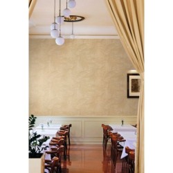 Papel Pintado Shunan 50613