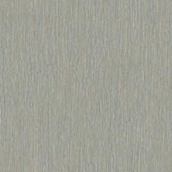 Papel Pintado Shunan 50629