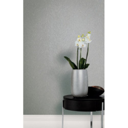 Papel Pintado Eternal ET8427