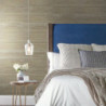 Papel Pintado Grasscloth II VG4414