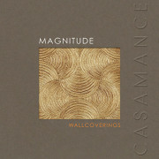 Magnitude